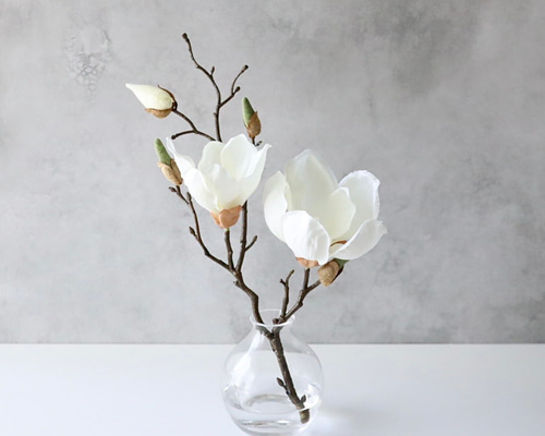 d6bd2cd57bbf9ee6f05421ca3f0caf