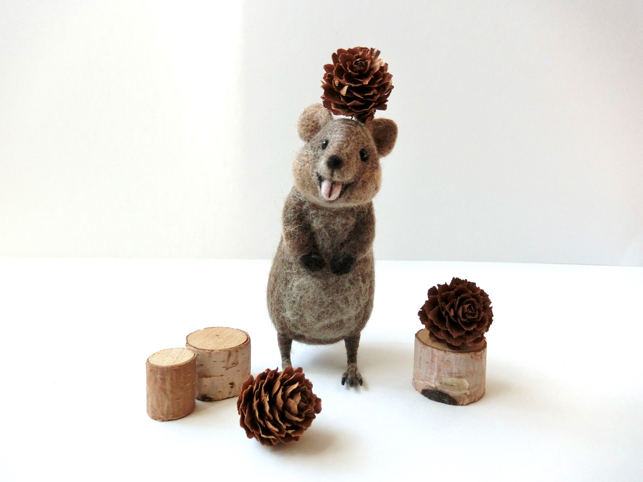 羊毛フェルト　クオッカ