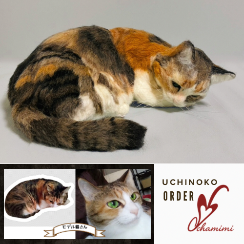 うちの子オーダー　羊毛フェルト　猫　　リアル ねこ オーダー ペットロス　メモリアル　うちの子　うちのこ