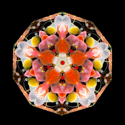 完成品］神楽 2026【万華鏡】 その他インテリア雑貨 ガラスの万華鏡