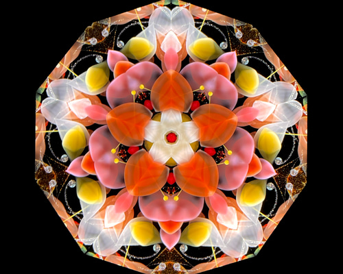 完成品］神楽 2026【万華鏡】 その他インテリア雑貨 ガラスの万華鏡