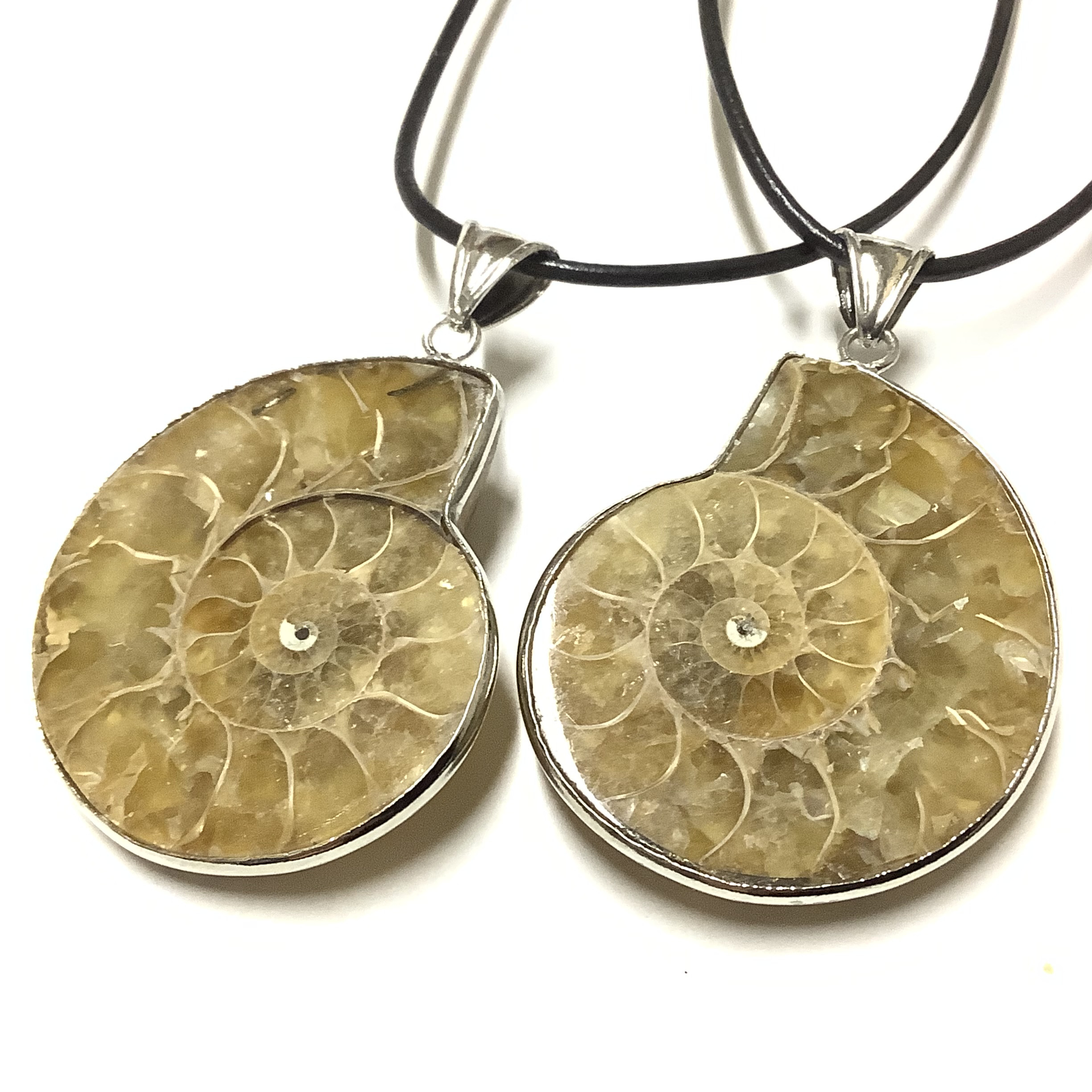 一点物☆太古の海の記憶 天然石(化石) アンモナイト リバーシブルネックレス セット ②