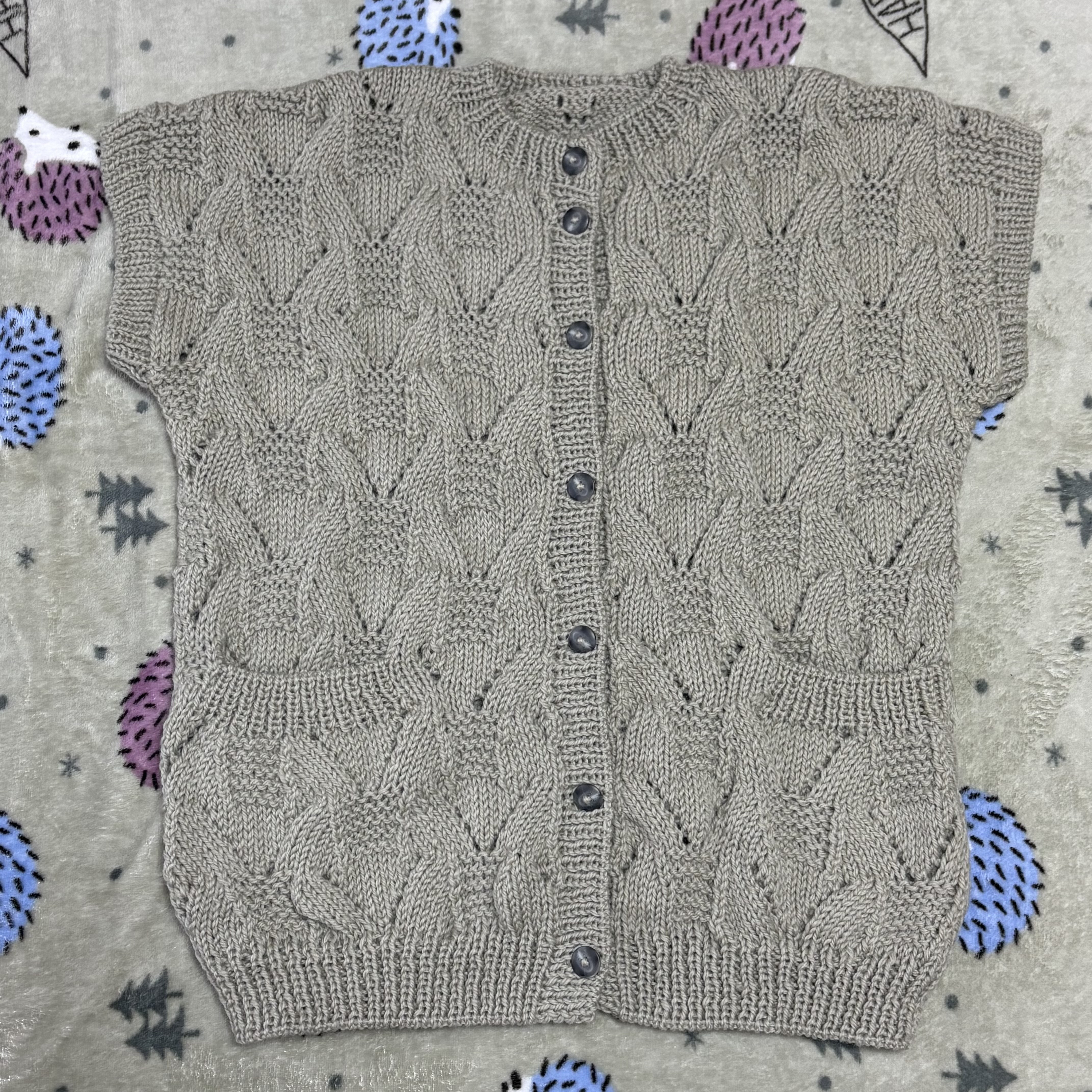 透かし編みの袖付きベスト（ライトモスグリーン）