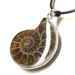 一点物☆太古の海の記憶 天然石(化石) アンモナイト 原石 ② 天然石