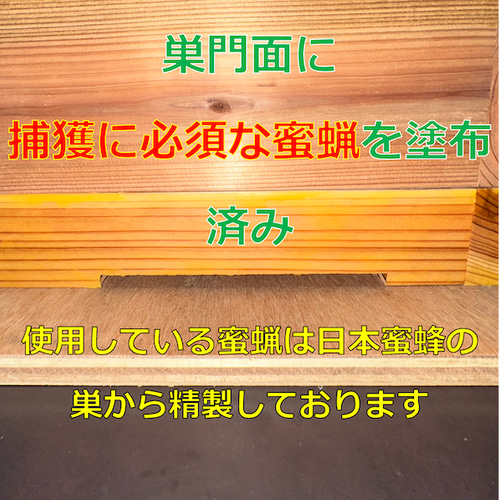 板厚33mm 日本蜜蜂 巣箱 重箱 待ち箱 ニホンミツバチ 木材・板 日本
