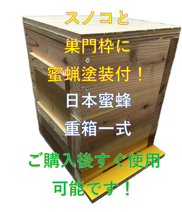板厚33mm 日本蜜蜂 巣箱 重箱 待ち箱 ニホンミツバチ 木材・板 日本