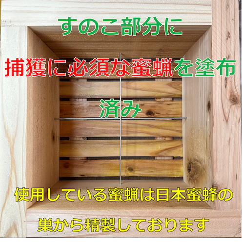 板厚33mm 日本蜜蜂 巣箱 重箱 待ち箱 ニホンミツバチ 木材・板 日本