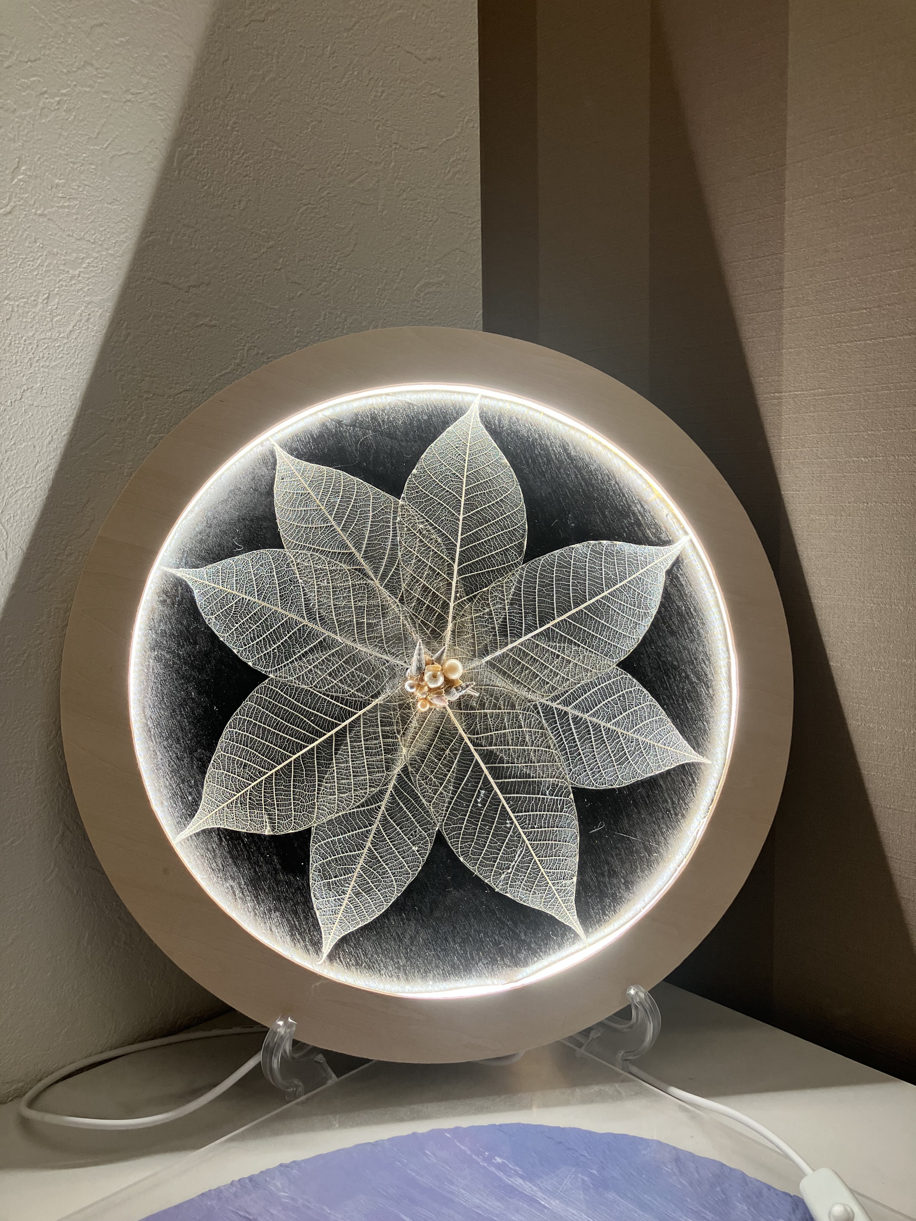 LEDライト額入り〜ゴムの葉アート〜