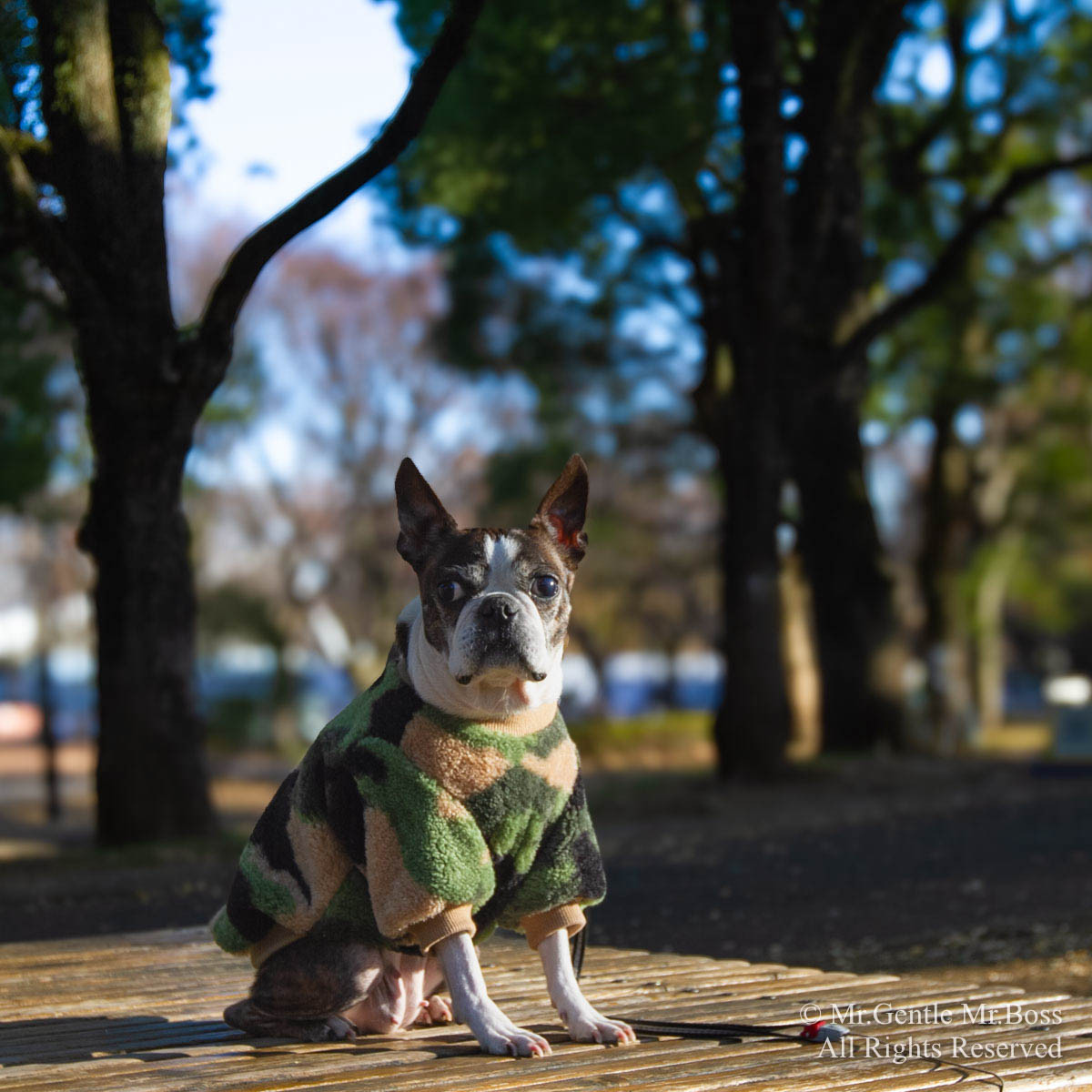 カモフラージュ柄ベアボアフリース☆Pullover☆グリーン　犬服　防寒服
