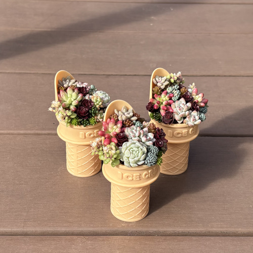 ★多肉植物　寄せ植え〜手作り　木製手押しカート　アイスクリーム屋さん〜★ ☆多肉植物 寄せ植え〜手作り 木製手押しカート アイスクリーム屋さん