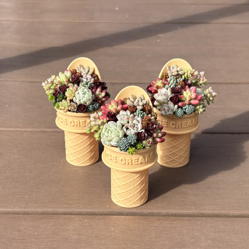 多肉植物 寄せ植え アイスクリーム‪ෆ‪.*・゜そのまま飾れる 多肉植物‬‬