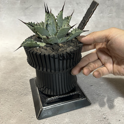 ☆送料込み☆アイアン植物棚 ボタニカルシェルフ3段タイプ アガベ