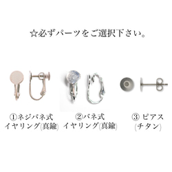 「 夢の中 」イヤリング/ピアス  *2026.干支.木馬.チェコガラス.パール.チャーム.楕円.シルバー.グリーン* 9枚目の画像