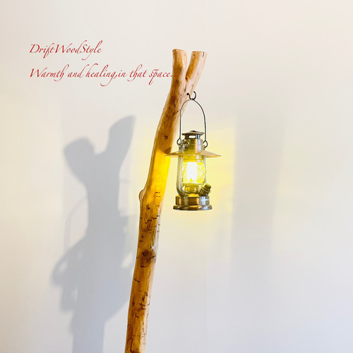 先端がY字を描く大型サイズの流木スタンド ランタンやエアプラントを