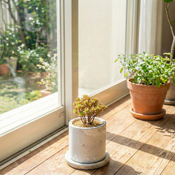 モルタル鉢 のおすすめ人気通販 検索結果｜Creema(クリーマ