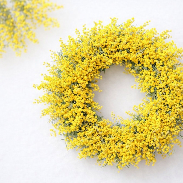 épanouissement Lサイズ（早割） 国産ミモザの贅沢ナチュラルリース