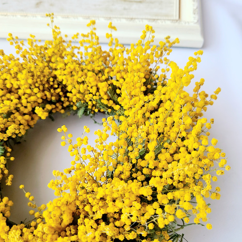 épanouissement Lサイズ（早割） 国産ミモザの贅沢ナチュラルリース