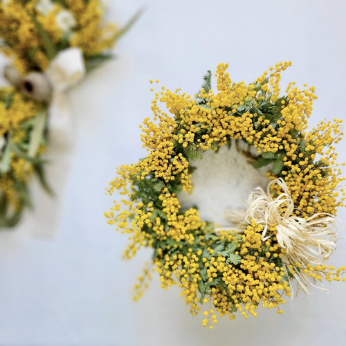 épanouissement Lサイズ（早割） 国産ミモザの贅沢ナチュラルリース