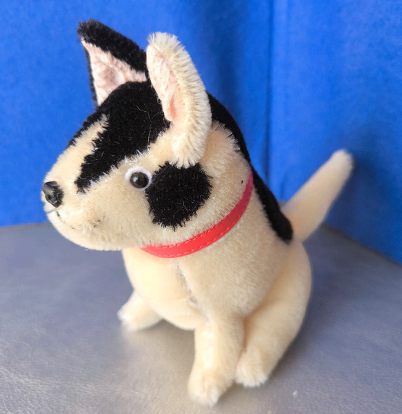 ブチ犬 ぬいぐるみ tara 通販 20273983｜Creema(クリーマ)