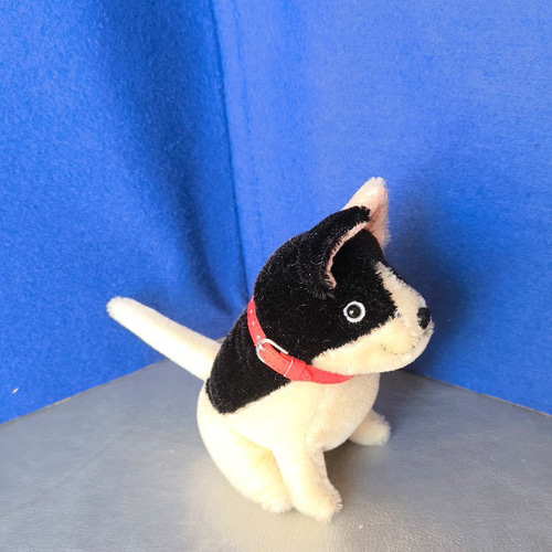 ブチ犬 ぬいぐるみ tara 通販 20273983｜Creema(クリーマ)