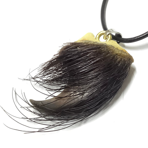 一点物＆魔.除けの御守り 毛皮付き 熊の爪 ネックレス ネックレス