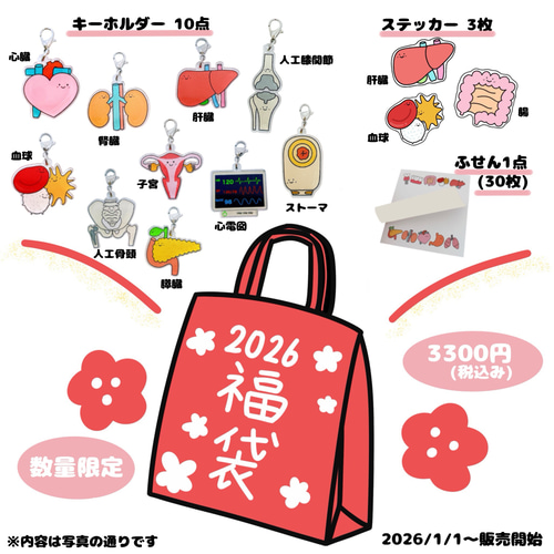 福袋2026 臓器キーホルダー その他アクセサリー Creemaユーザー 通販