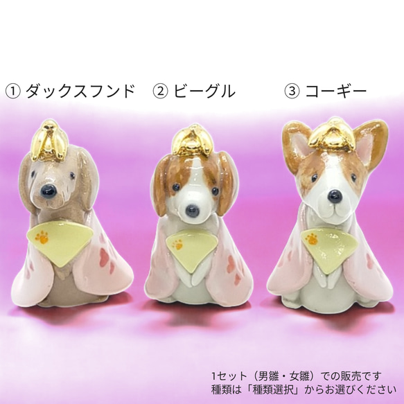 犬雛（ダックスフンド／ビーグル／コーギー）お雛様 桃の節句 雛祭り