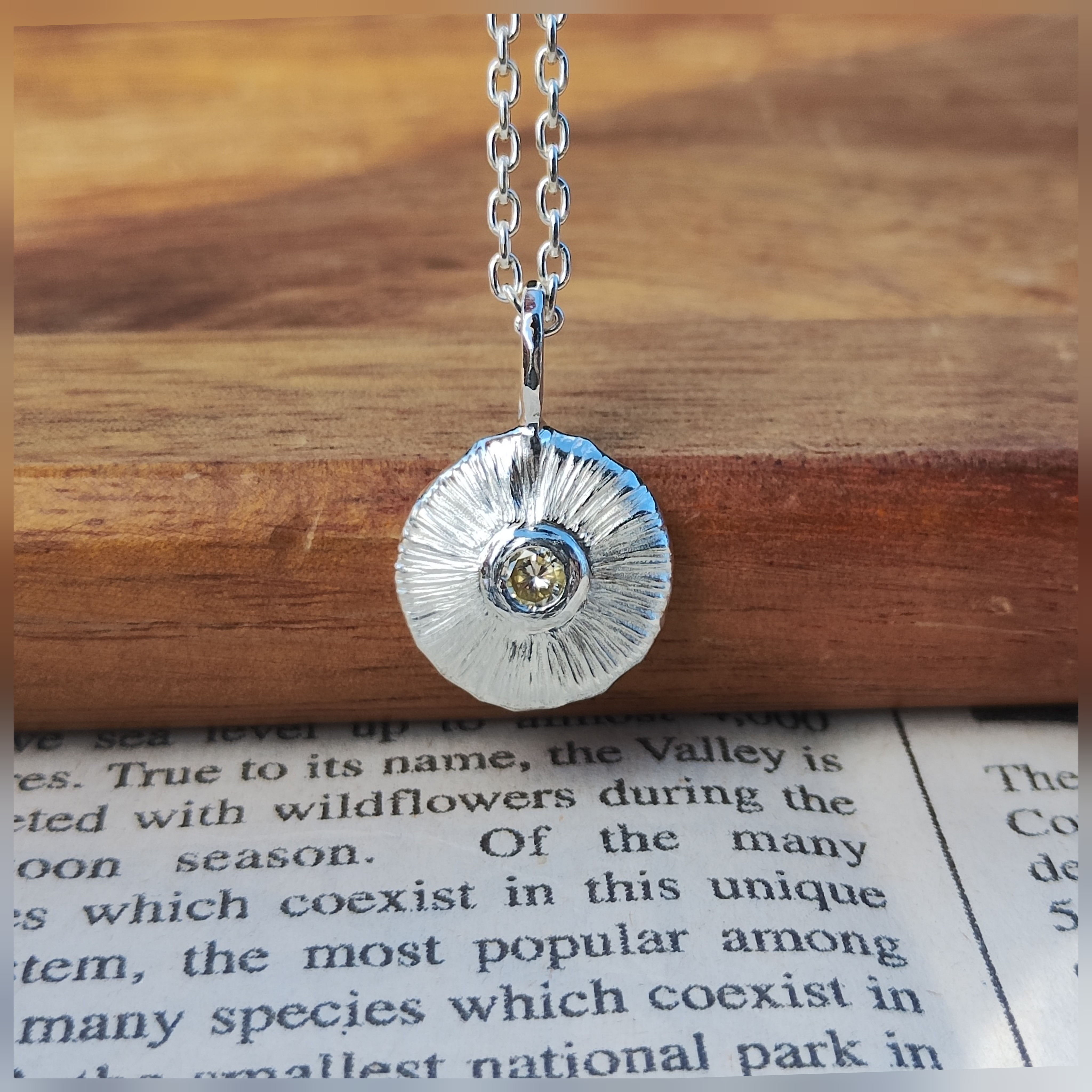 日出ずる処〜ダイヤモンド銀のコインネックレス