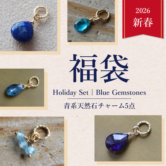 【特価】天然石のチャームセット⑤ ✨2026新春福袋✨ 青系天然石のチャーム【5点】 ペンダントトップ