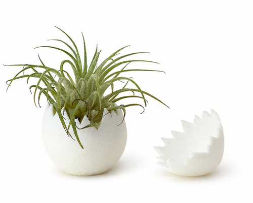 割れた卵のオブジェ｜静かなインテリア｜エアープランツ対応 卵型
