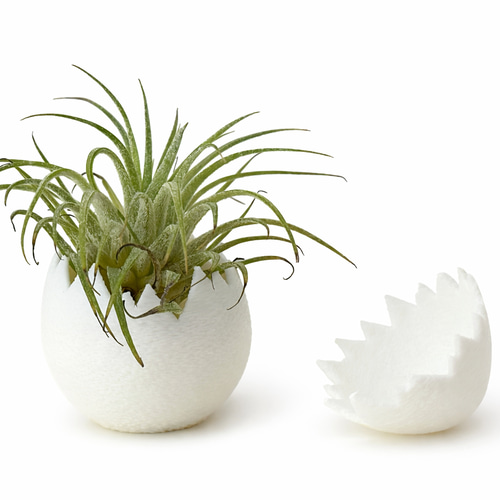 割れた卵のオブジェ｜静かなインテリア｜エアープランツ対応 卵型