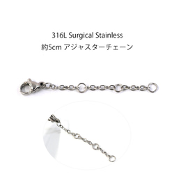 ess161-2 [10條裝] 約5公分可調式鏈條，金屬配件，醫用316L不鏽鋼 第1張的照片