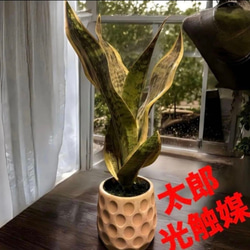 光触媒 人工観葉植物 ウォールグリーン フェイクグリーン 藤の花ツリー