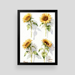 絵画 。原画☆【テーブルの上の花瓶の中のきれいな花、いろいろな色の果物】 絵画 。原画☆【テーブルの上の花瓶の中のきれいな花、いろいろな色の