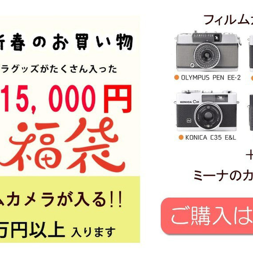 ☆1月5日まで限定☆送料無料☆総額3万円以上が入るオールドフィルム