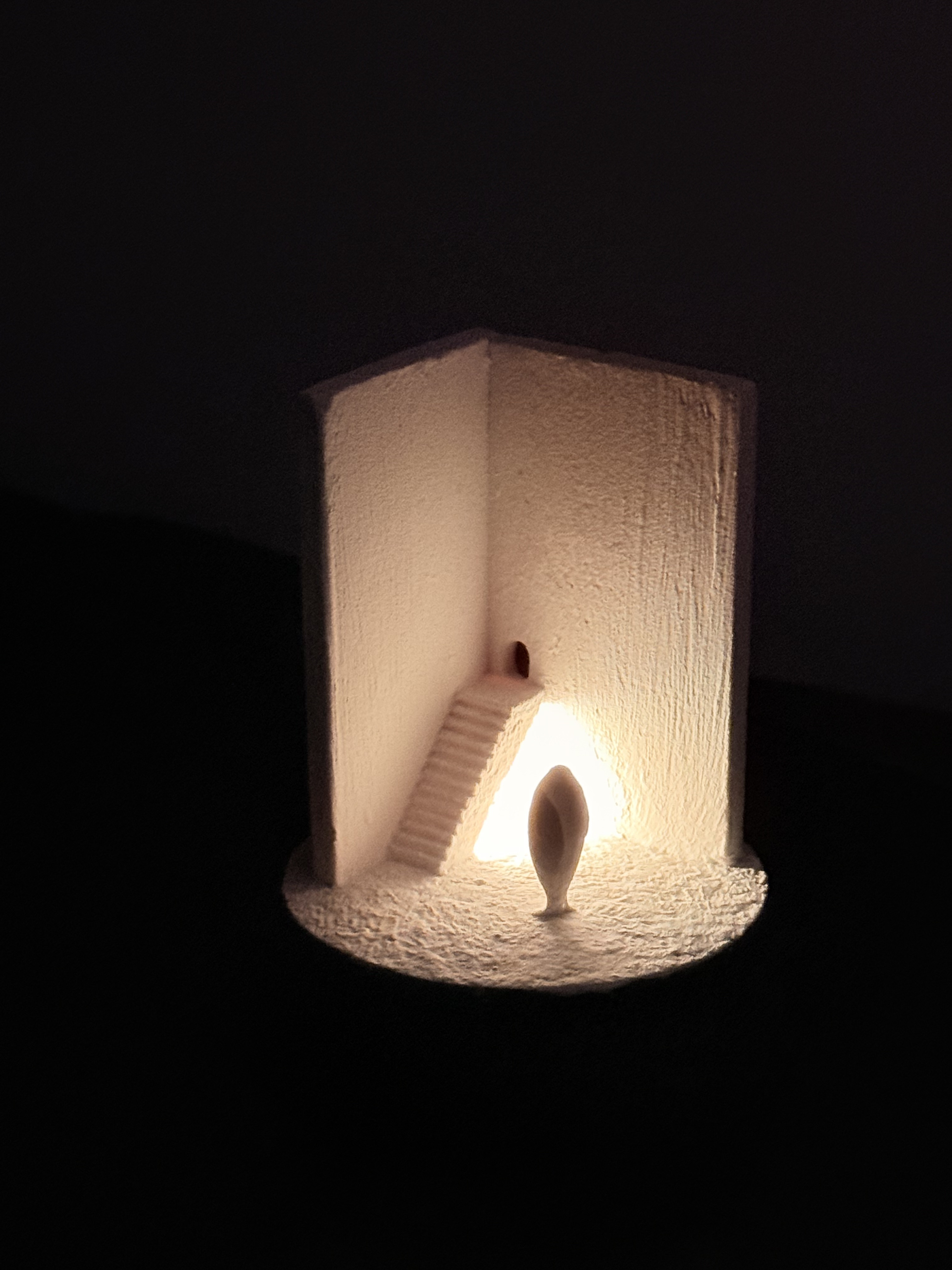 記憶の棲家　アザラシ