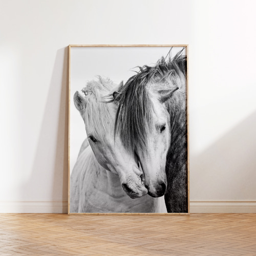 アートポスター 干支 午年 馬 モノクロ写真 2026 白黒 ナチュラル 北欧
