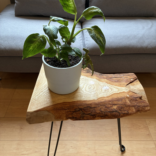 無垢一枚板サイドテーブル｜国産広葉樹 × ブラックアイアン｜一点もの