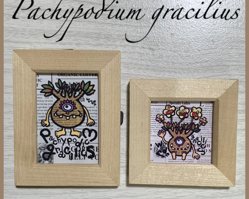 非売 Pachypodium Flower ポスター 光沢紙 額装付 グラキリス 非売 Pachypodium Flower ポスター 光沢紙 額装付 グラキリス