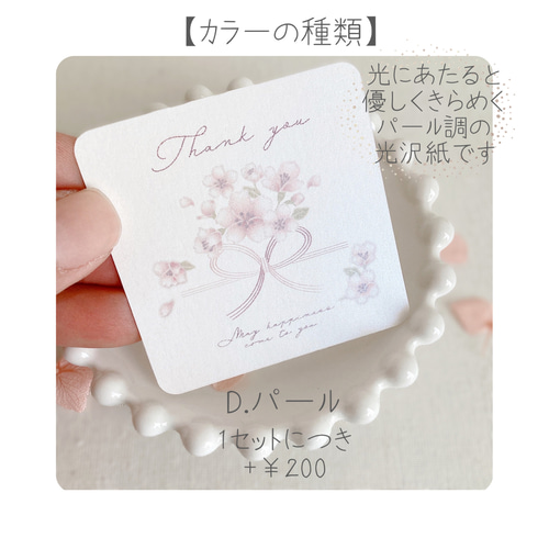 期間限定 えらべるサンキューカード 水引の蝶結びと桜50枚 メッセージ