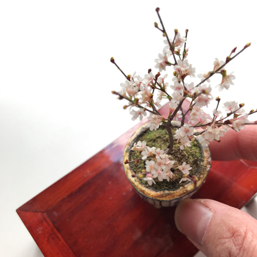 ずっと咲いている》さくらの花／ひな祭りに毎年飾れる春の花ミニチュア