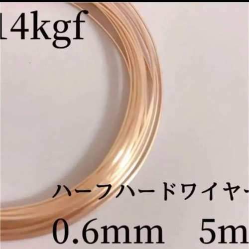 限定5 新春福袋2026 14kgf ハーフハードワイヤー 5種 合計80m 金具