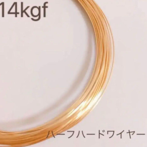 限定5 新春福袋2026 14kgf ハーフハードワイヤー 5種 合計80m 金具