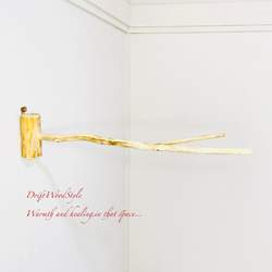 Y字の流木枝を使った小鳥の止まり木 インコの壁掛けパーチ ピン止め+ビス止め両タイプ N14 7枚目の画像