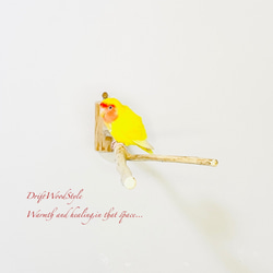 Y字の流木枝を使った小鳥の止まり木 インコの壁掛けパーチ ピン止め+ビス止め両タイプ N14 4枚目の画像