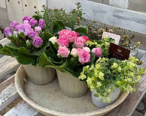 94e092f38f9da0d72b68e56b23372c