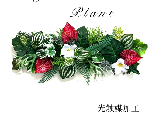 光触媒加工ウォールグリーン フェイクグリーン壁掛け♡リゾート編Ⅱ