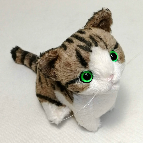 猫ぬいぐるみ「ちびにゃCE」キジトラ白 カラーアイ【受注製作