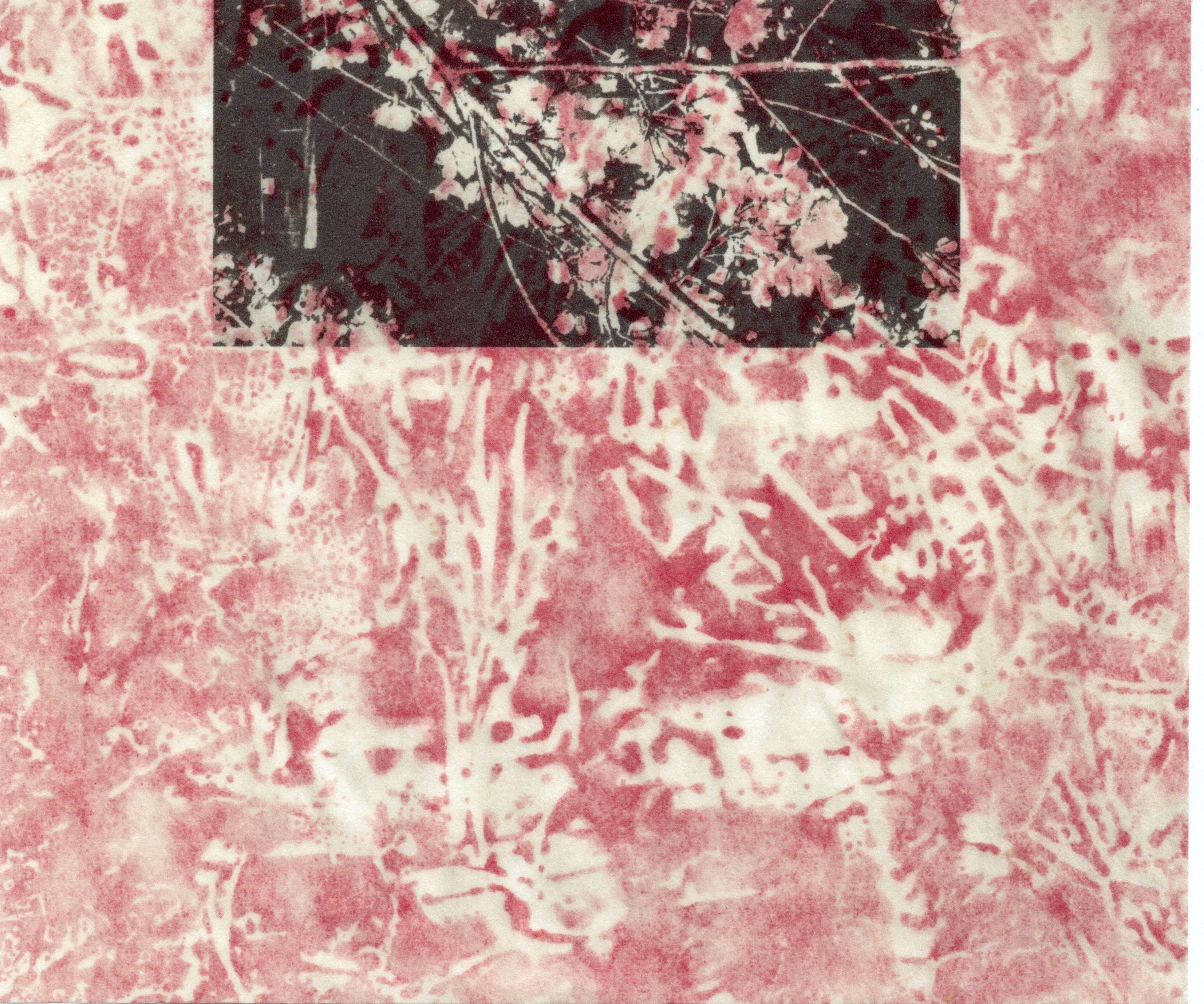 新春デジタルプリント　KEIGA （慶賀）2  版画用和紙　アクリル絵の具　新年　日本画　色鉛筆フラワーガーデン 4,455円