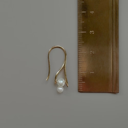 【新作2026】淡水 パール２粒ピアス  /金具変更可（イヤリング・シルバーカラーあり）フォーマルにも 6枚目の画像